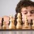 Мозг шахматиста: в чем его отличия и преимущества Интеллект шахматы